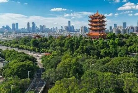 抢庄牛牛炸金花网站-网络游戏的乐趣与风险，以抢庄牛牛炸金花为例