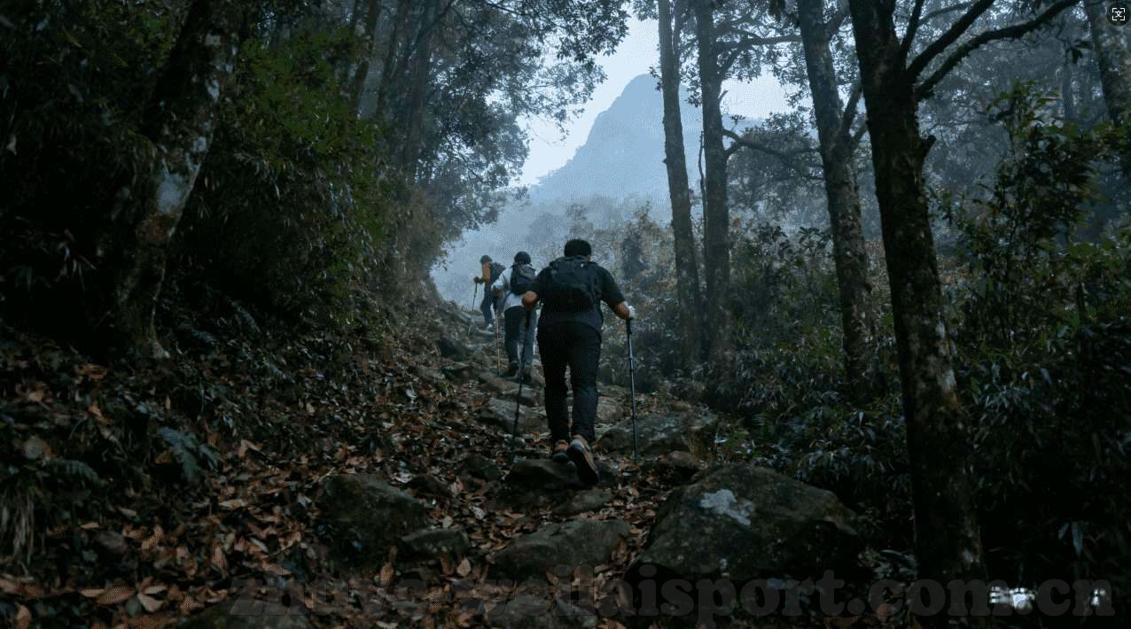 世界杯彩票投注-世界杯彩票投注，策略、风险与乐趣